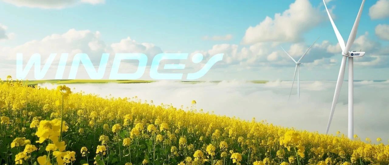 清明 | 踏青必看！藏在运达的春日秘境~