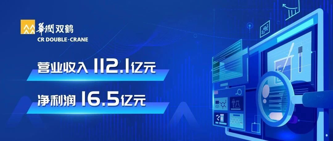 一图读懂华润双鹤2024年年度报告