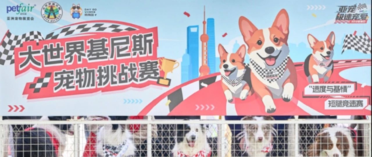 3・20 亚宠极速宠爱：宠物主题日，速度与萌趣的狂欢！