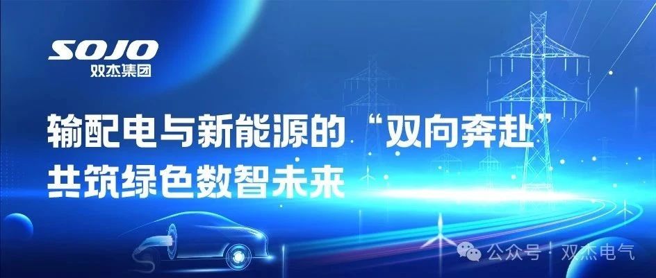 大咖Show｜输配电与新能源的“双向奔赴”，共筑绿色数智未来！