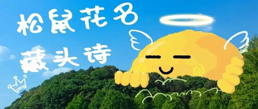 DeepSeek&松鼠，花名藏头诗大赏：