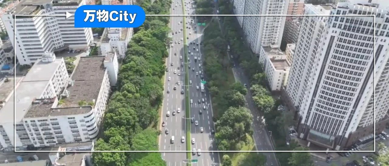 从社区到街区，用科技丈量城市温度｜万物City