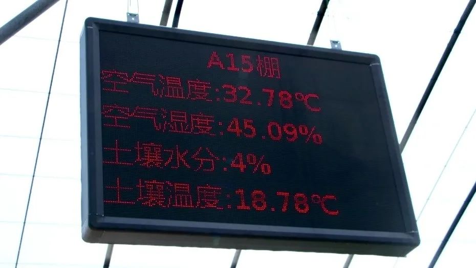 信息显示大屏.png