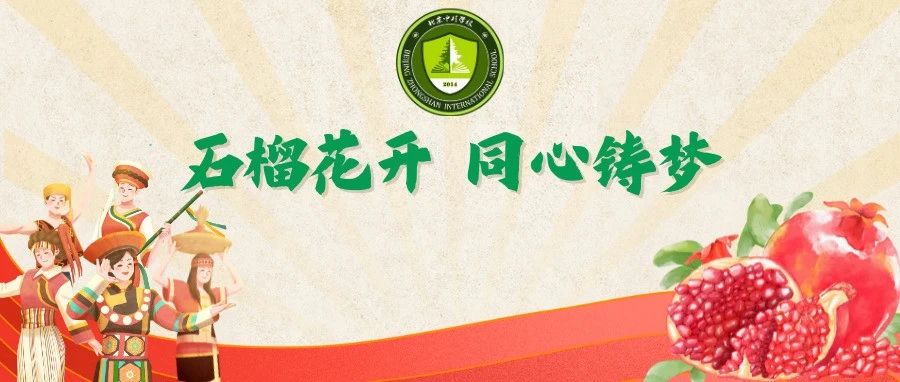 籽光同尘，千蕊映杉