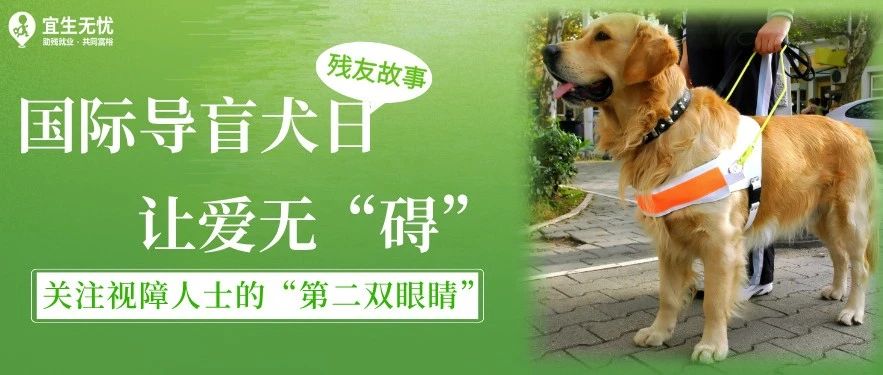 国际导盲犬日|为爱发声，关注视障人士的“第二双眼睛”