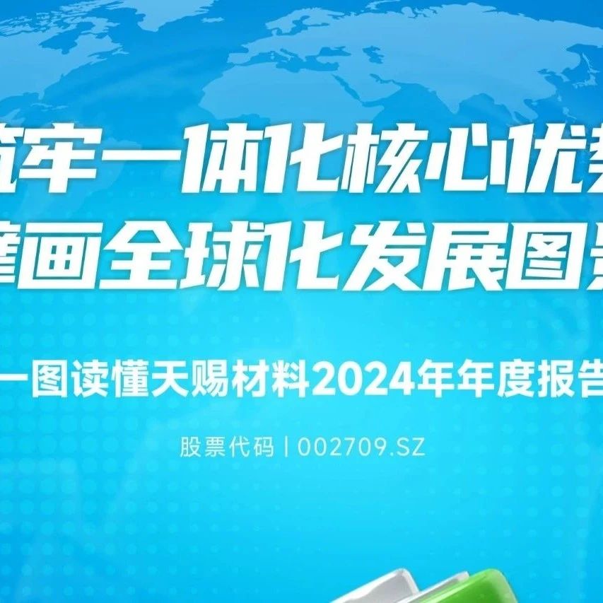 一图读懂天赐材料2024年年度报告