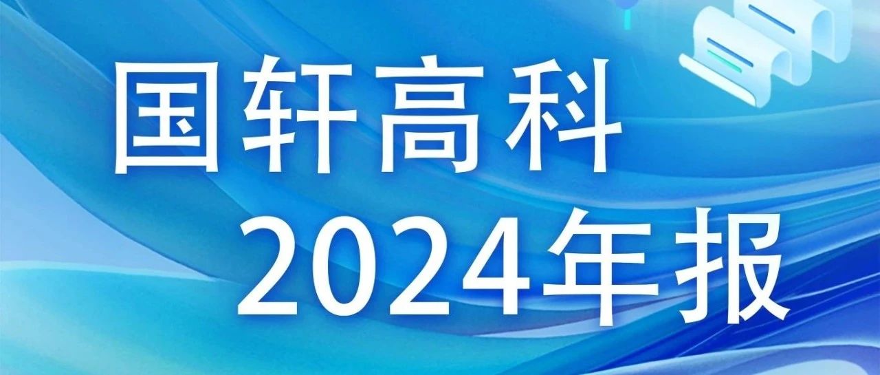 一图读懂国轩高科2024年度财报
