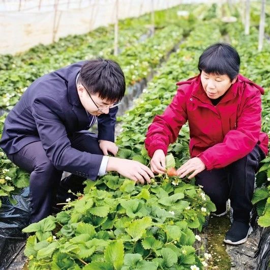 『客群剪影』乘＂春＂而耕，润泽沃野，金融活水精准＂浇灌＂乡村振兴春耕图