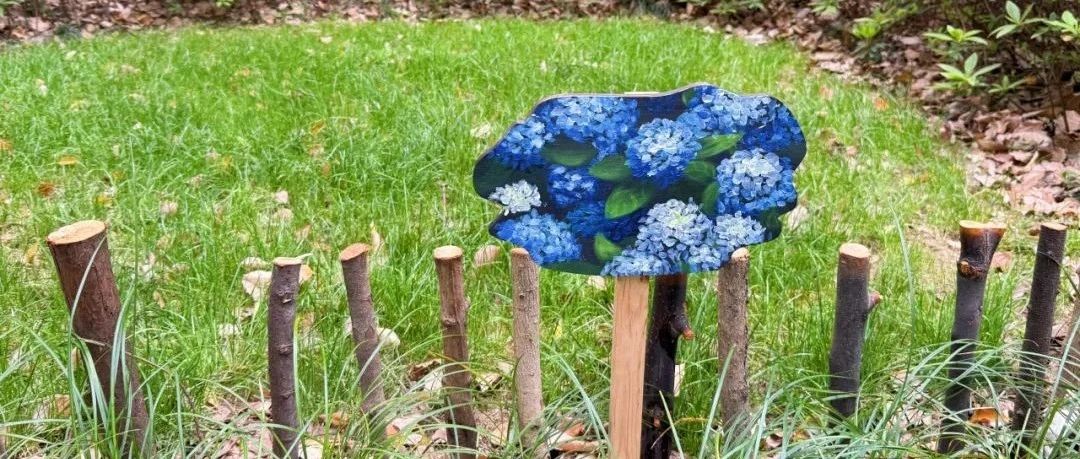 知己微创新 | “边角料”变“网红”！谁在给小区“微整形"？