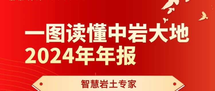 一图读懂 | 中岩大地2024年年报