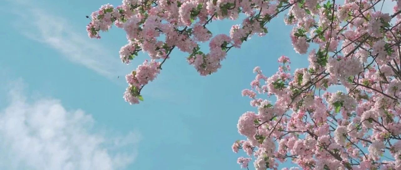 属于大学生的指尖生花