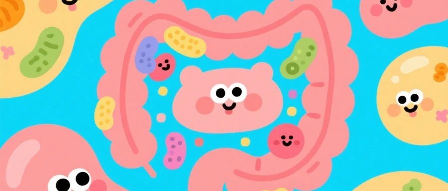 肠道菌群 —— 你身体里的 “隐形操盘手”