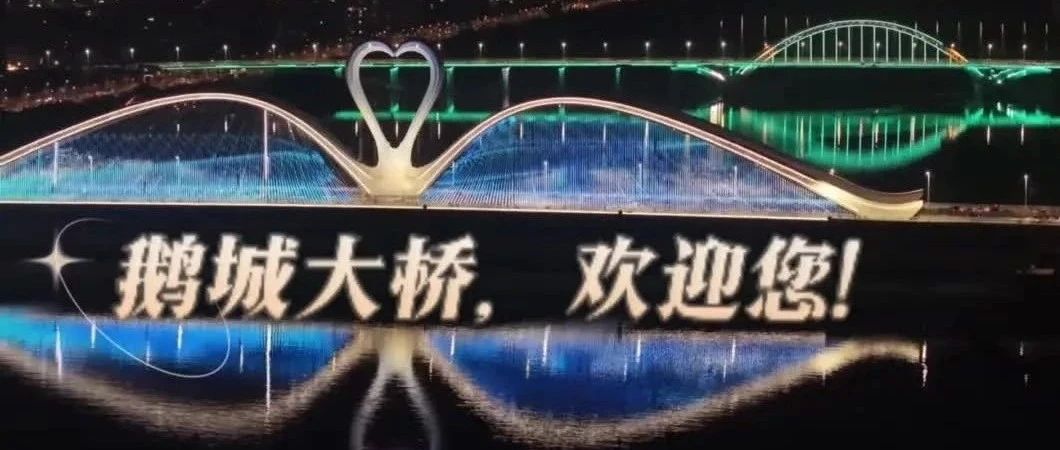 点亮鹅城的艺术之光 | 惠州鹅城大桥景观照明案例赏析