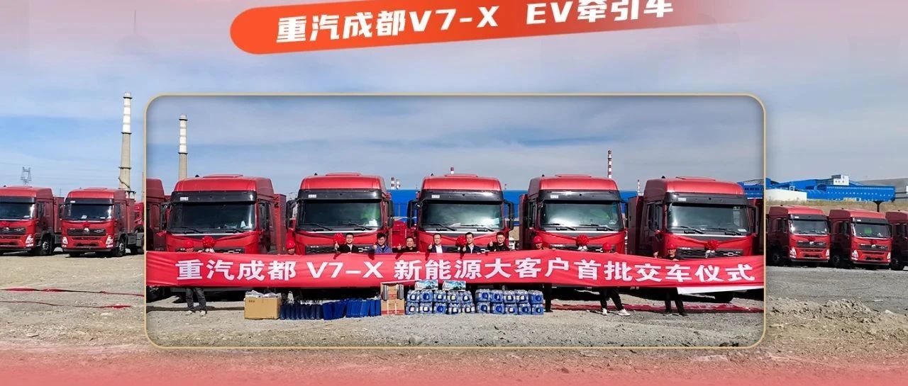 20台批量交付，新疆再添绿色动能！