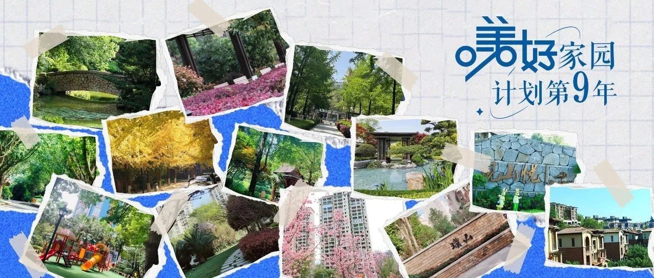 谁懂这句话的含金量啊！