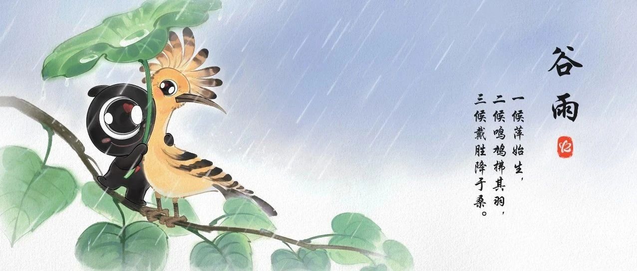 今日谷雨丨雨润百谷，春耕好时节