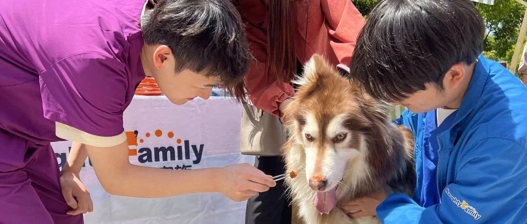 【新瑞鹏上海区】顽皮家族暖心守护！萌宠水上竞速狂欢，健康义诊全程相伴！