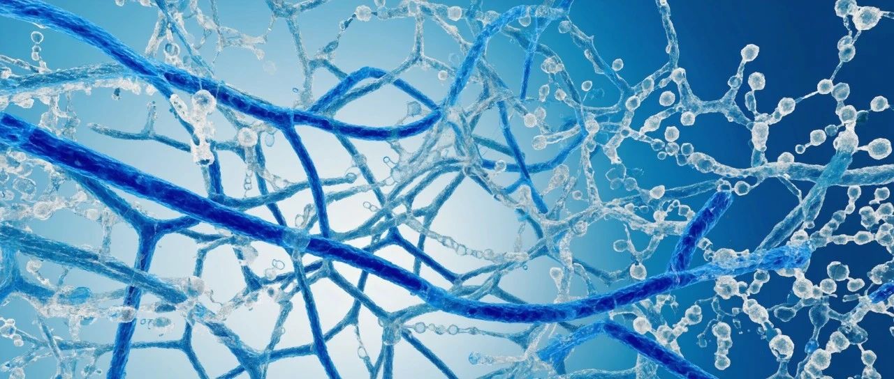 Cell杂志：ECM为新衰老标志物，8天后华熙生物获批国内首款三类水光