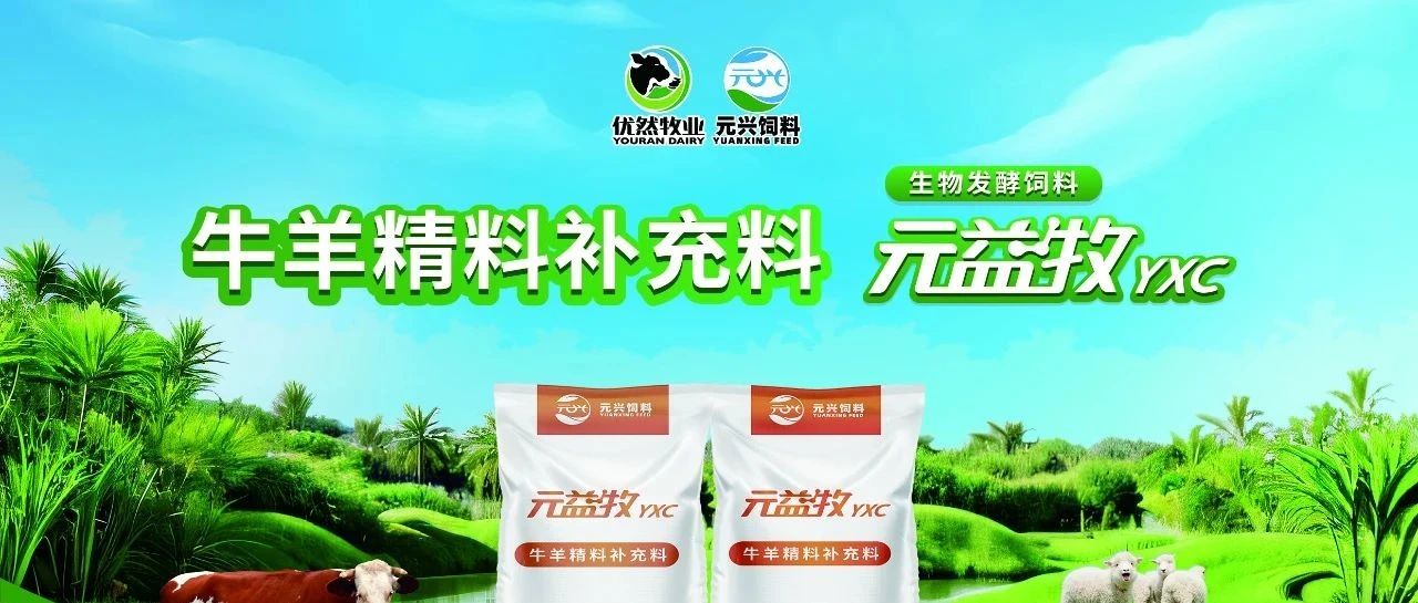 优然牧业发酵技术革新，农业副产物华丽变身饲料“香饽饽”