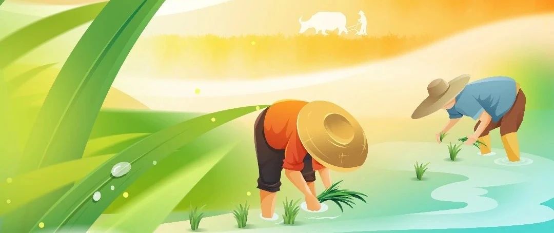 谷雨 | 雨生百谷润春色