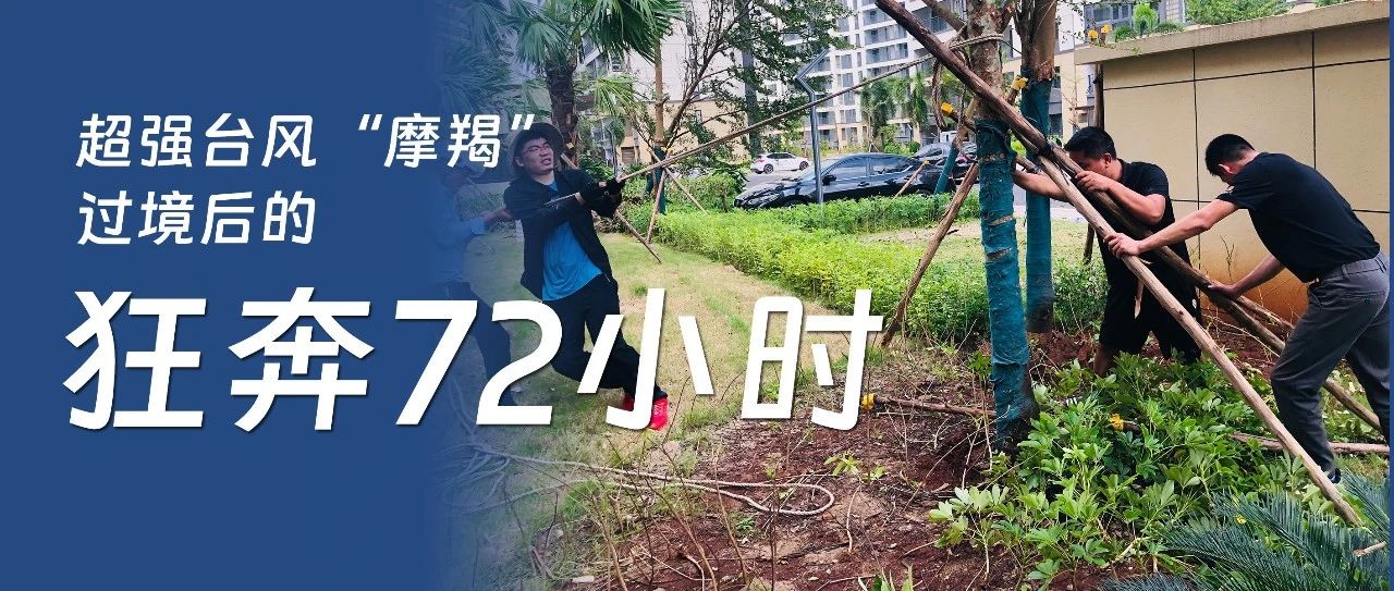 金地物业｜超强台风后的狂奔72小时