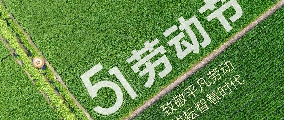 劳动节丨致敬平凡劳动，耕耘智慧时代