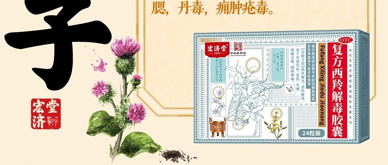 每日识一味中药材——牛蒡子