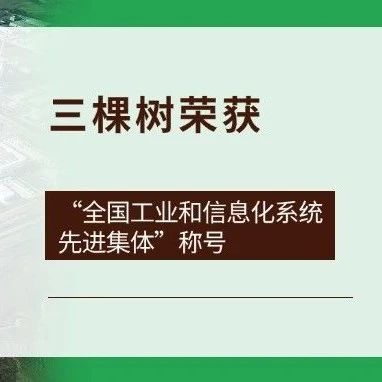 三棵树荣获“全国工业和信息化系统先进集体”称号