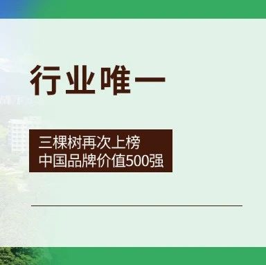 行业唯一！三棵树再次上榜中国品牌价值500强