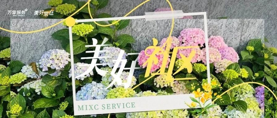 质感空间 | 谁在悄悄为童心“较真儿”？