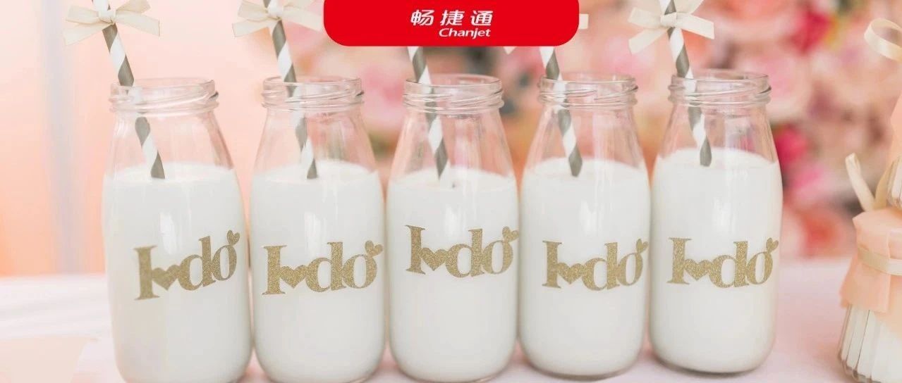 清晨6点的配送中心：揭秘低温奶"半小时达"背后的数智链条