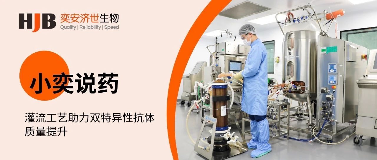 小奕说药 | 灌流工艺助力双特异性抗体质量提升