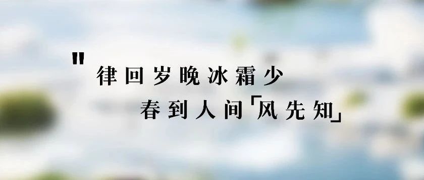 立春 | 春到人间“风先知”