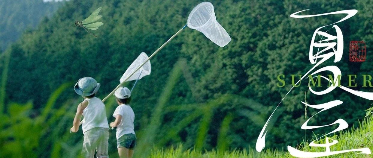夏至  |  夏至已至，且听风吟