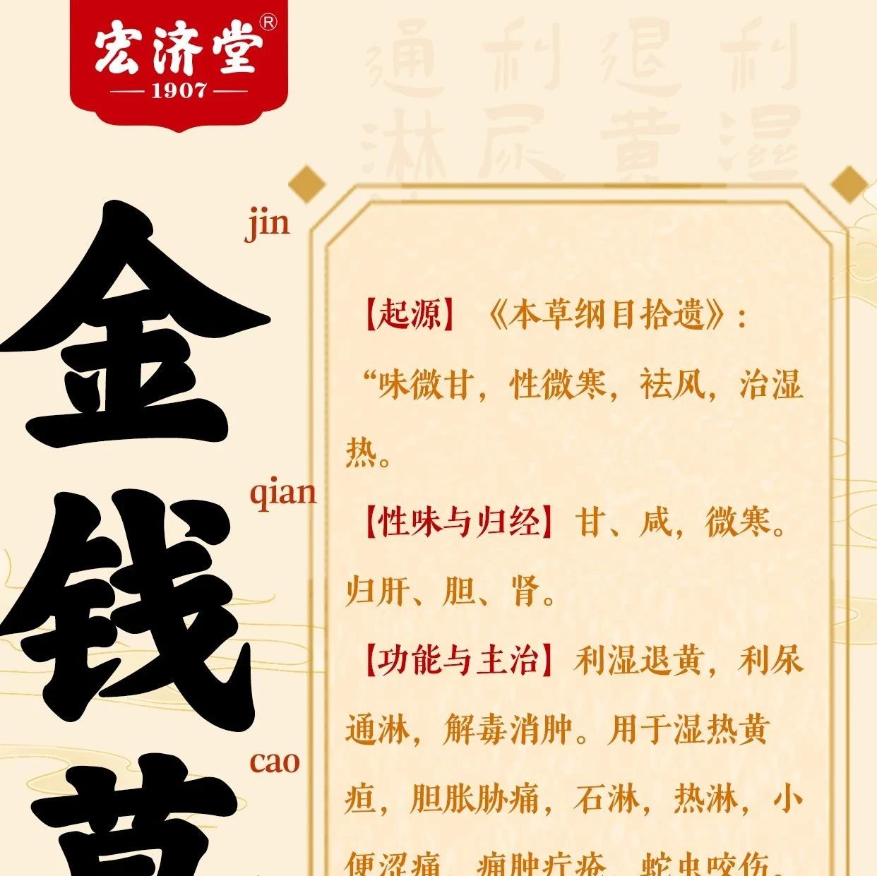 每日识一味中药材——金钱草