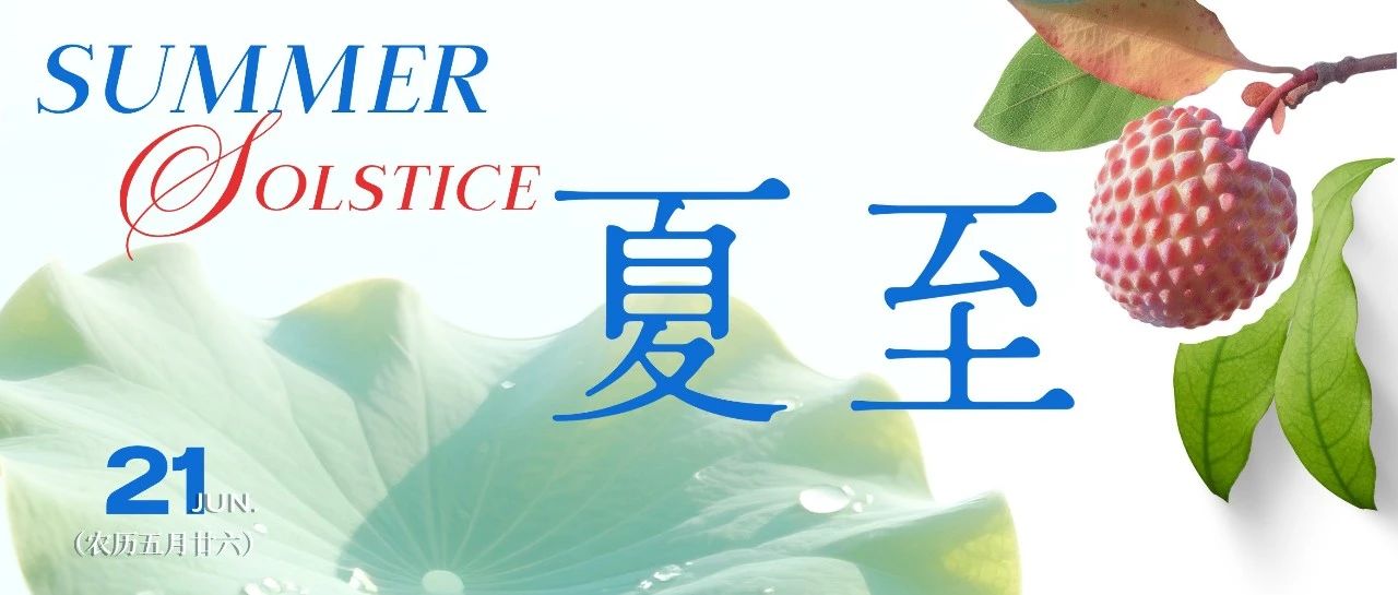 夏至 | 荔蕴澎湃力 荷载万里清