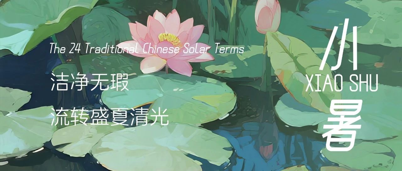 今日小暑｜洁净无瑕 流转盛夏清光