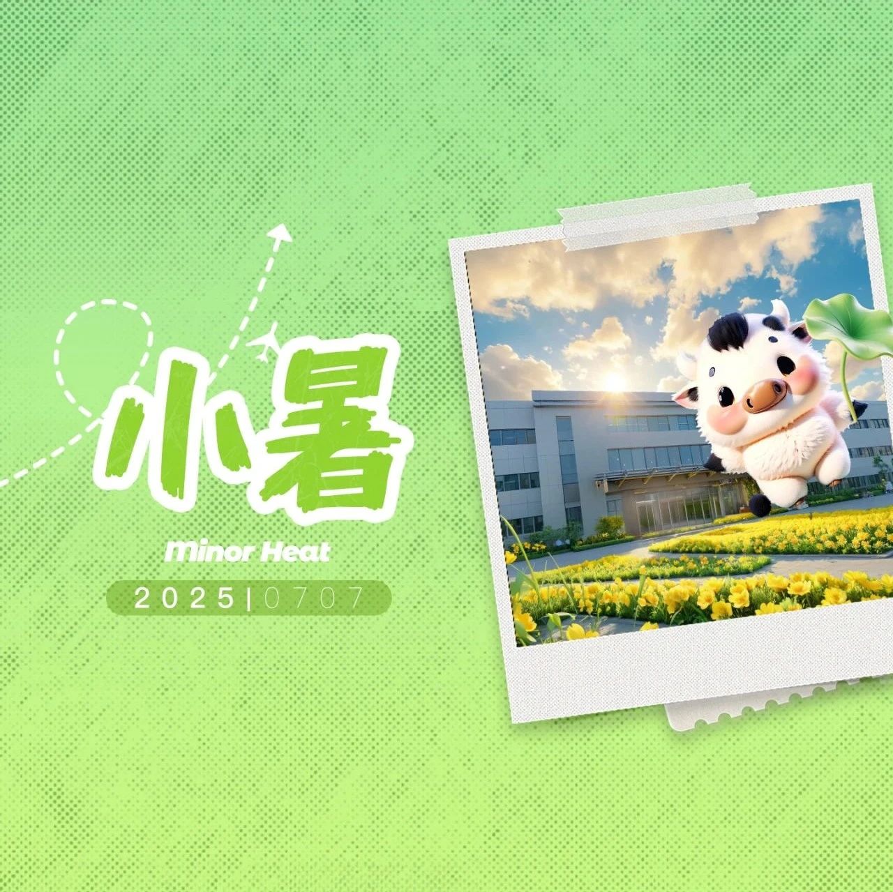 小暑丨夏意悠悠，日影迟迟