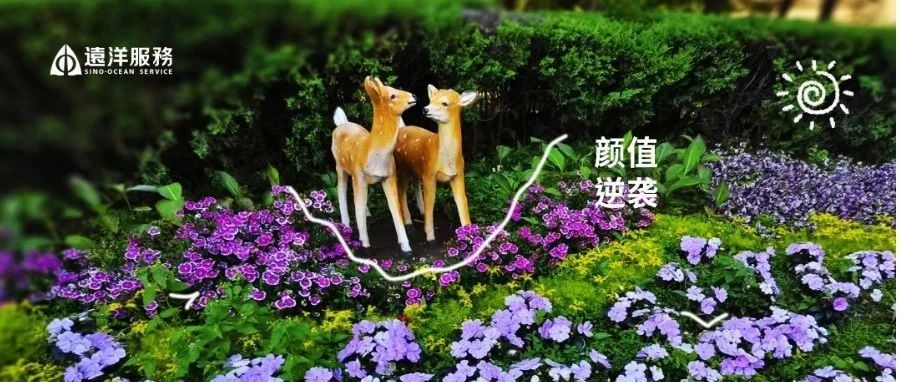 环渤海区域 | 小区这波操作太「新」动了吧～
