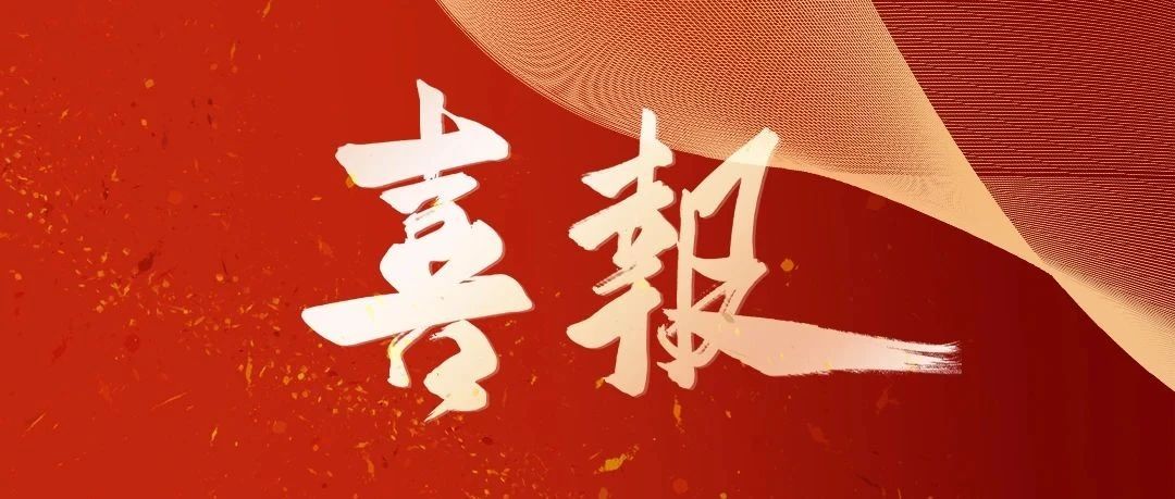 【重磅发布】2025中国汽车经销商百强榜出炉---伟杰集团排名升至第61位！