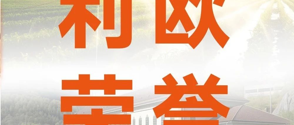 喜讯！利欧集团荣登2024中国制造业民营企业500强第393位