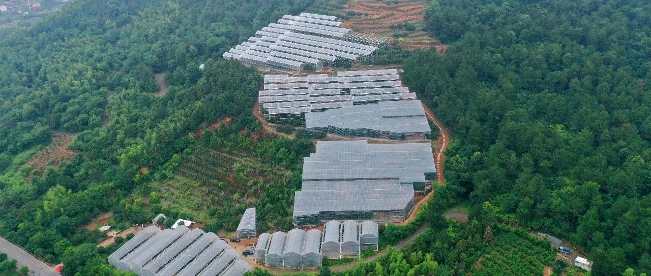 杭州这个美味新鲜上市，很多人盼了它一整年！老板：电话被打爆……