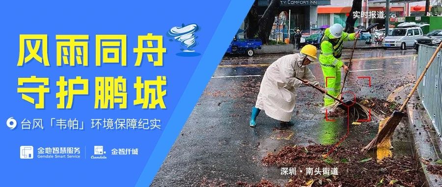 金地智慧服务台风“韦帕”环境保障纪实