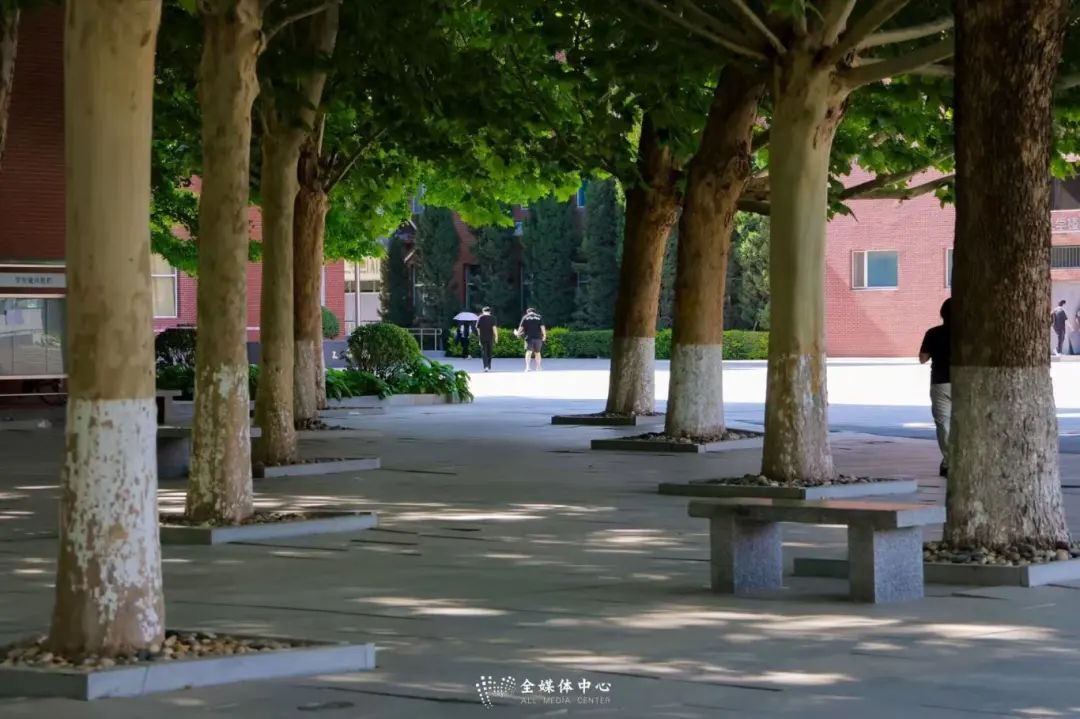 微信图片_20250728124705.jpg