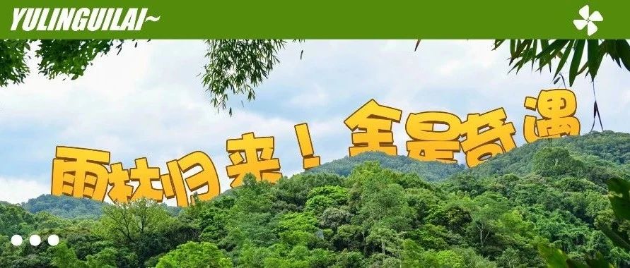 雨林归来！全是奇遇