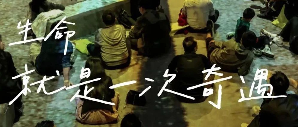 阿那亚虾米音乐节，和大卫·霍克尼一起LOVE LIFE