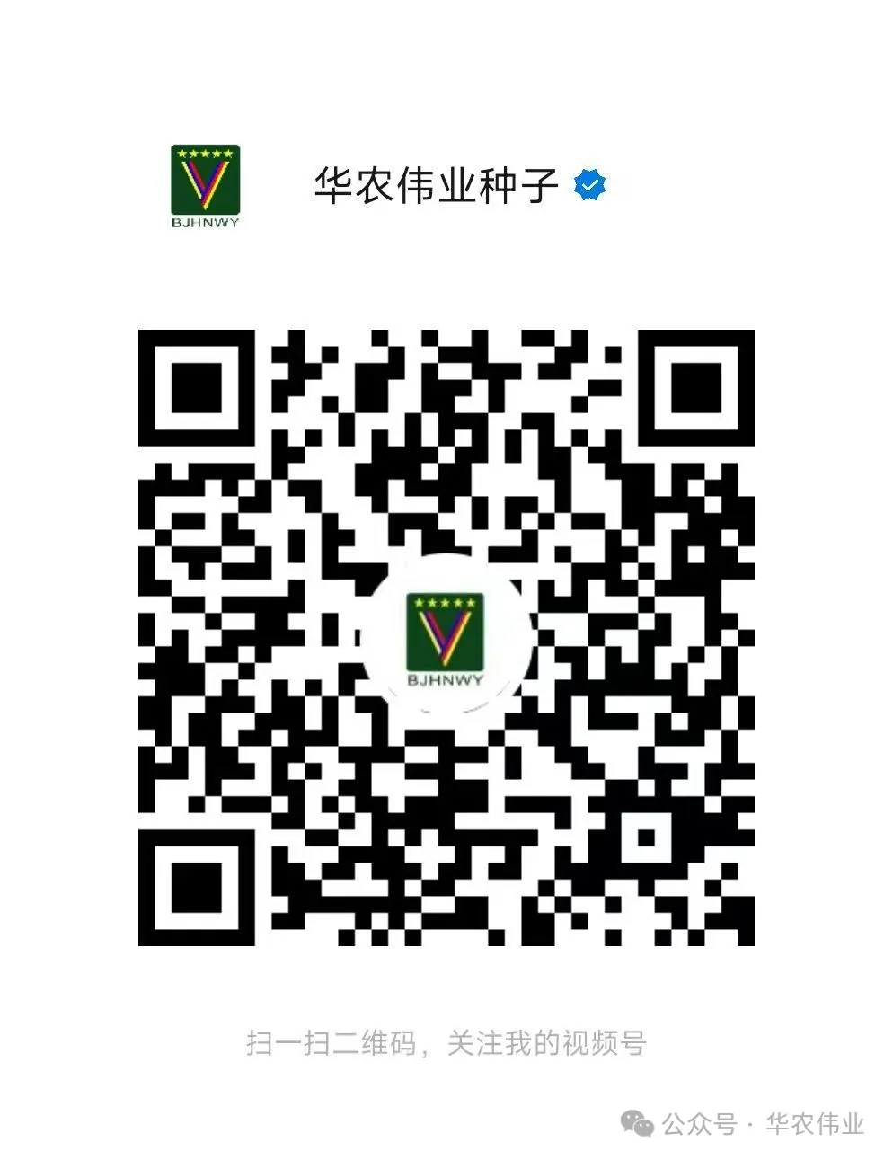 undefined 图片