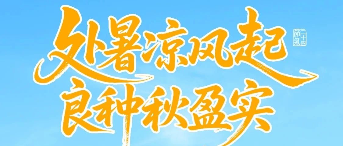 处暑凉风起，良种秋盈实！