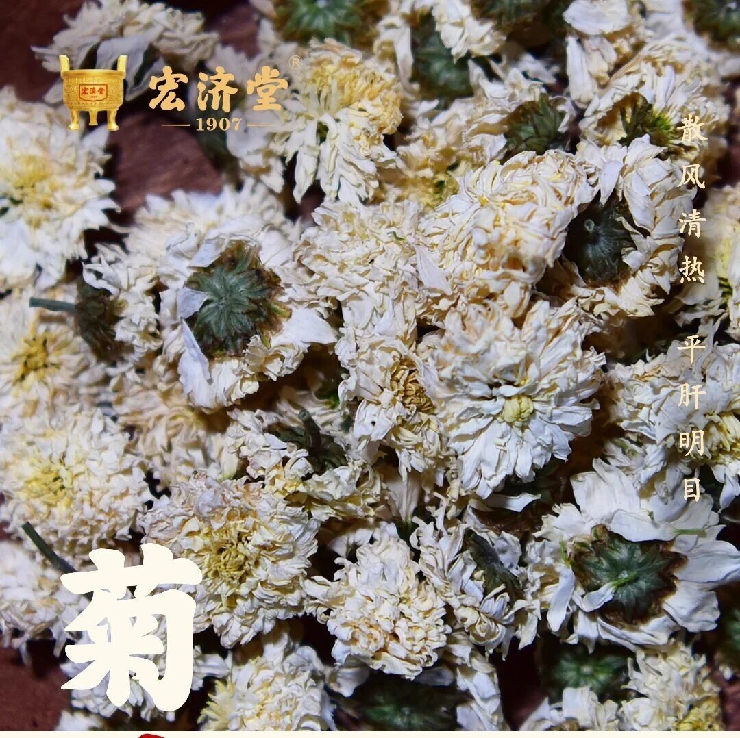 每日识一味中药材——菊花