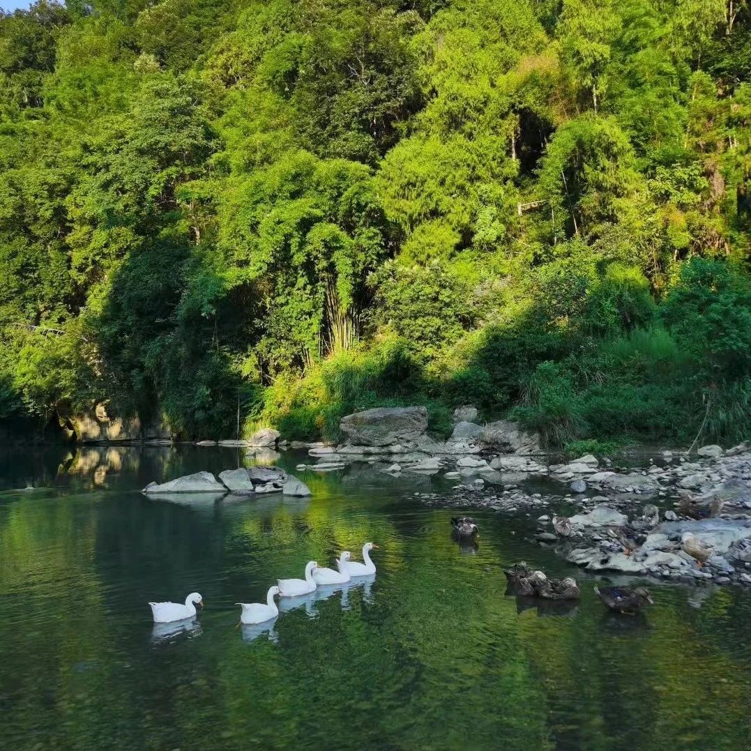 正在 “夏” 载中 | 美图欣赏
